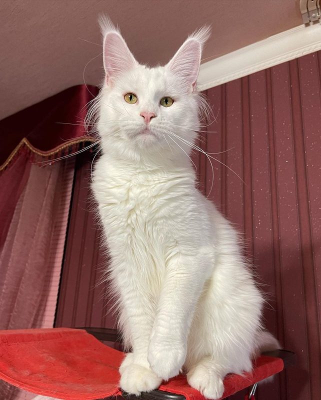 LUNA